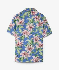 Polo Ralph Lauren Short Sleeve Sport Shirt -Camisas Ventas 710864175002 sivasdescalzo Polo Ralph Lauren CLADYPPCSS SHORT SLEEVE SPORT SHIRT 1648047070 4