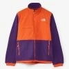 The North Face Denali 2 Jacket