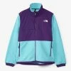 The North Face Denali 2 Jacket