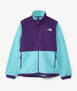 The North Face Denali 2 Jacket
