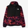 The North Face Printed Denali 2 Anorak